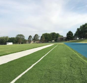 Used Artificial Turf with Lines