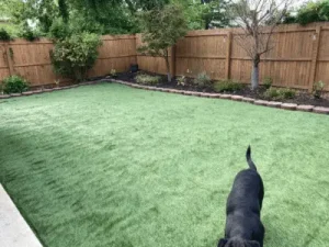 Artificial Turf for Dogs