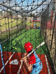 Used Turf for Batting Cages
